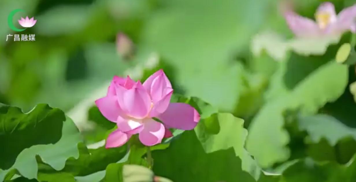 QQ截图20240712145222-800.jpg