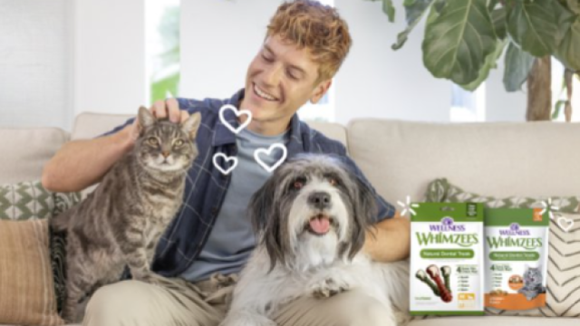 Wellness Pet 任命Colle McVoy 为全权代理机构 - 4A广告网