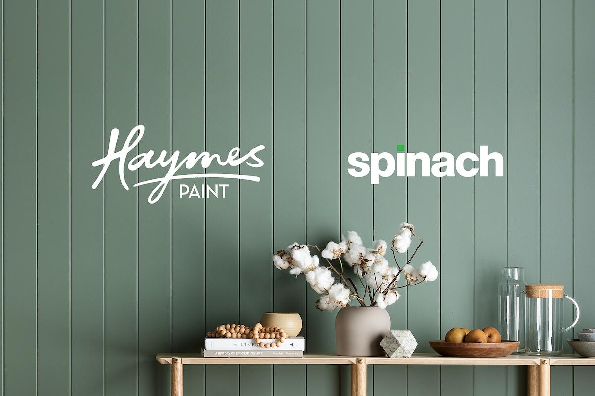 Haymes Paint 任命 Spinach 为传播主管