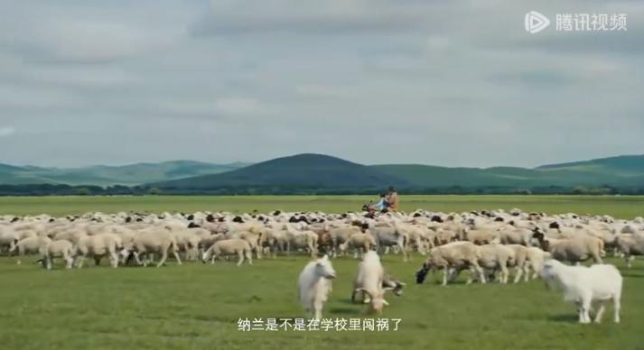 QQ截图20240820154813-800.jpg