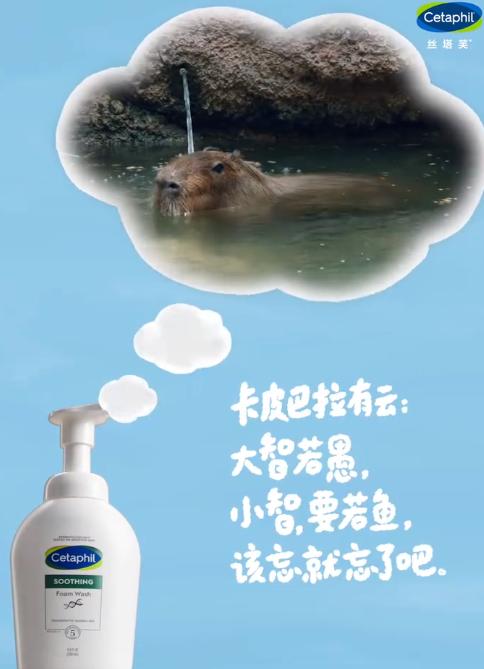QQ截图20240912120339-800.jpg