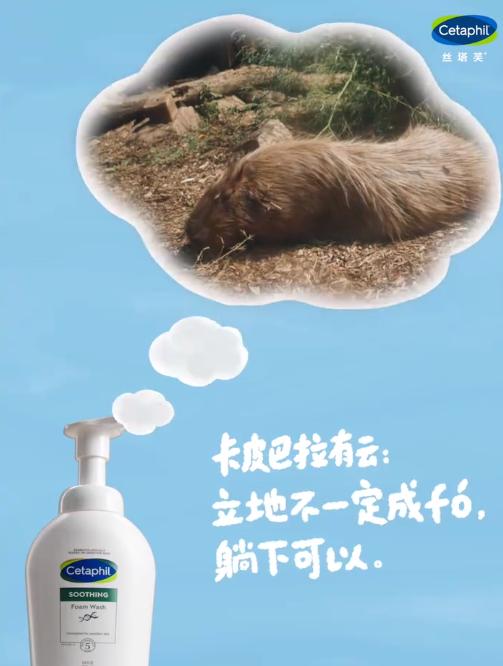 QQ截图20240912120355-800.jpg