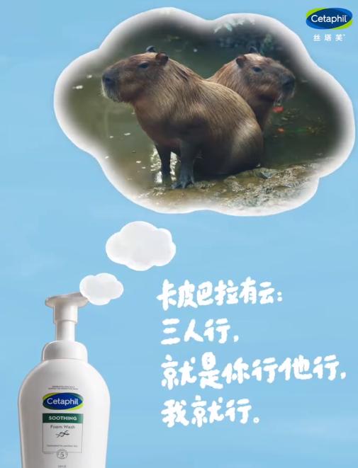 QQ截图20240912120415-800.jpg