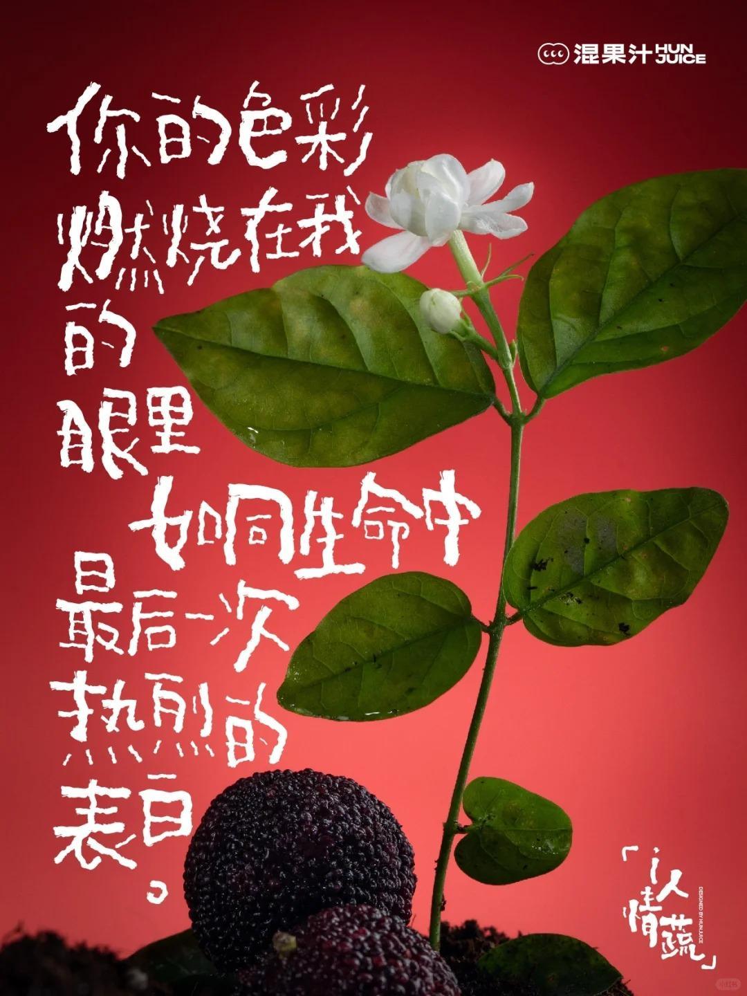 混果汁,平面,海报