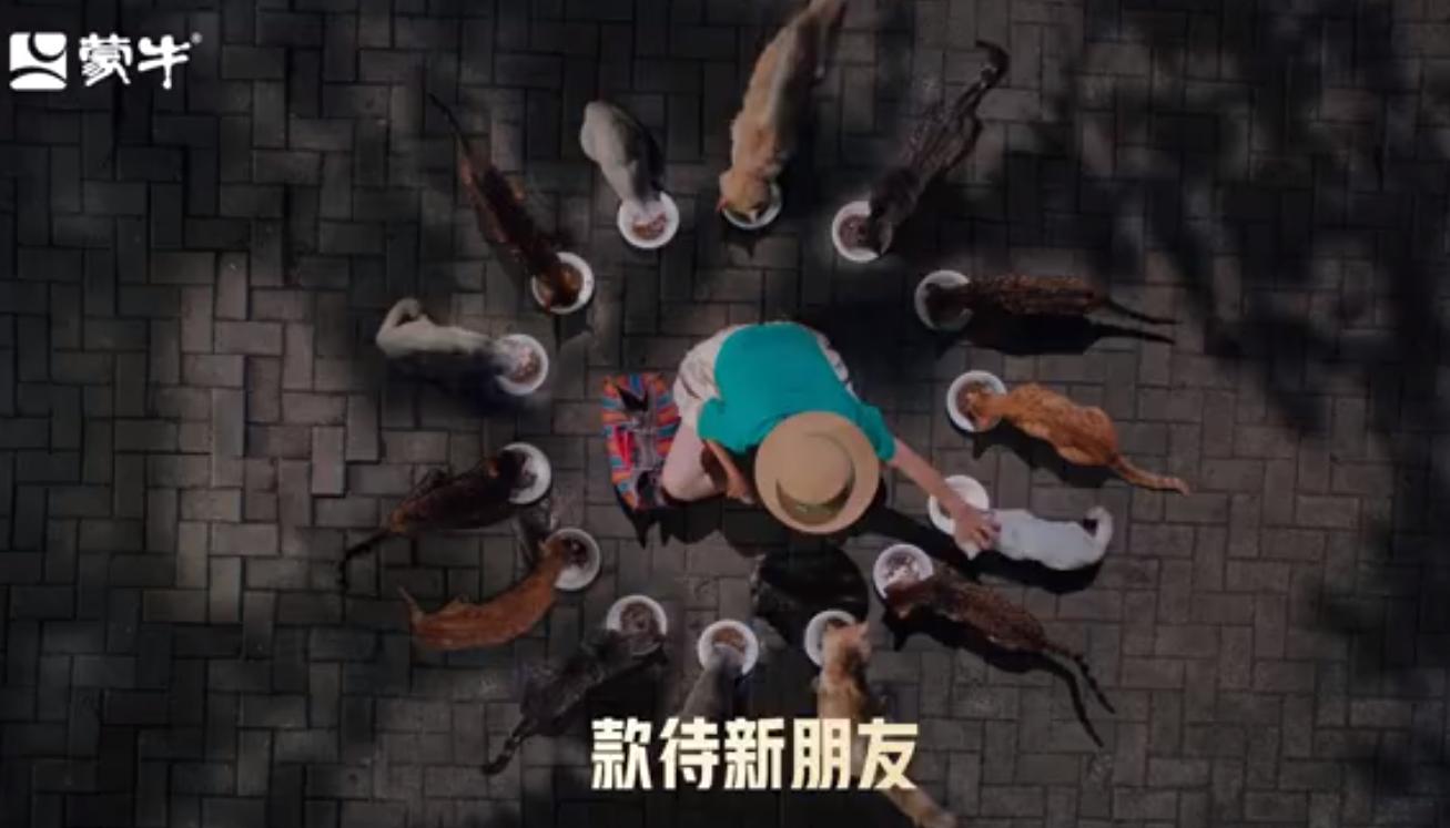 QQ截图20240914103131-800.jpg