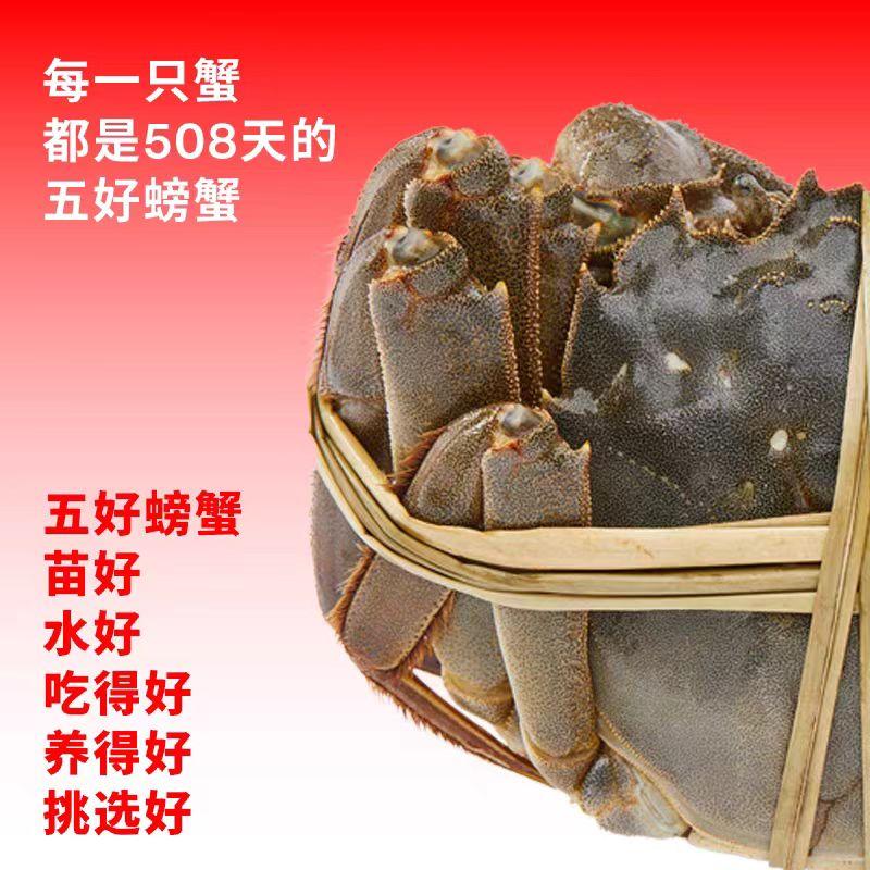 图片3-800.jpg