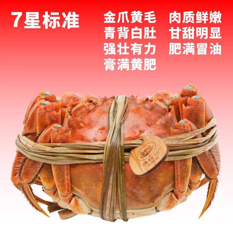 图片4-800.jpg