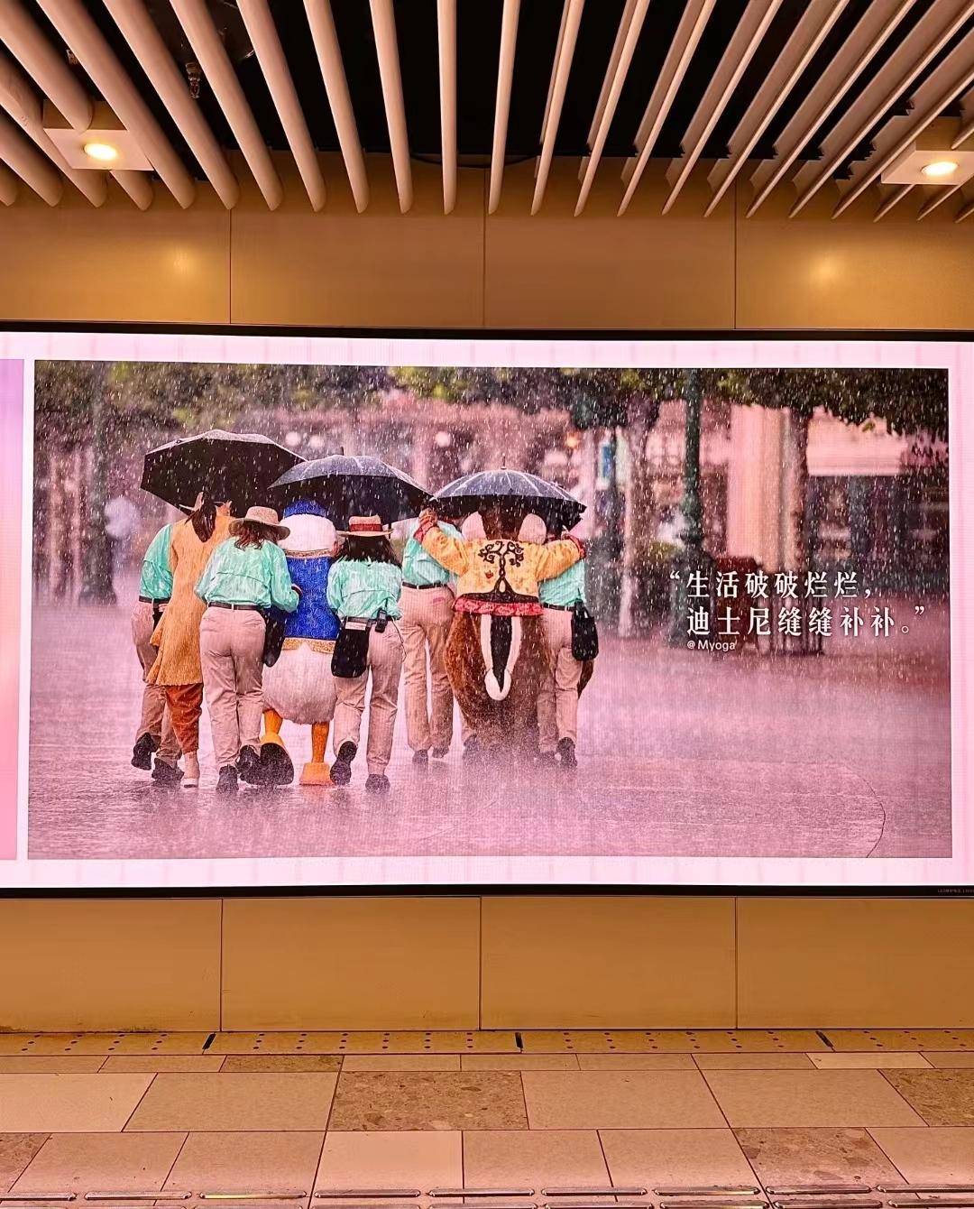 图片6-800.jpg