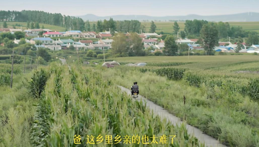 QQ截图20240925112639-800.jpg