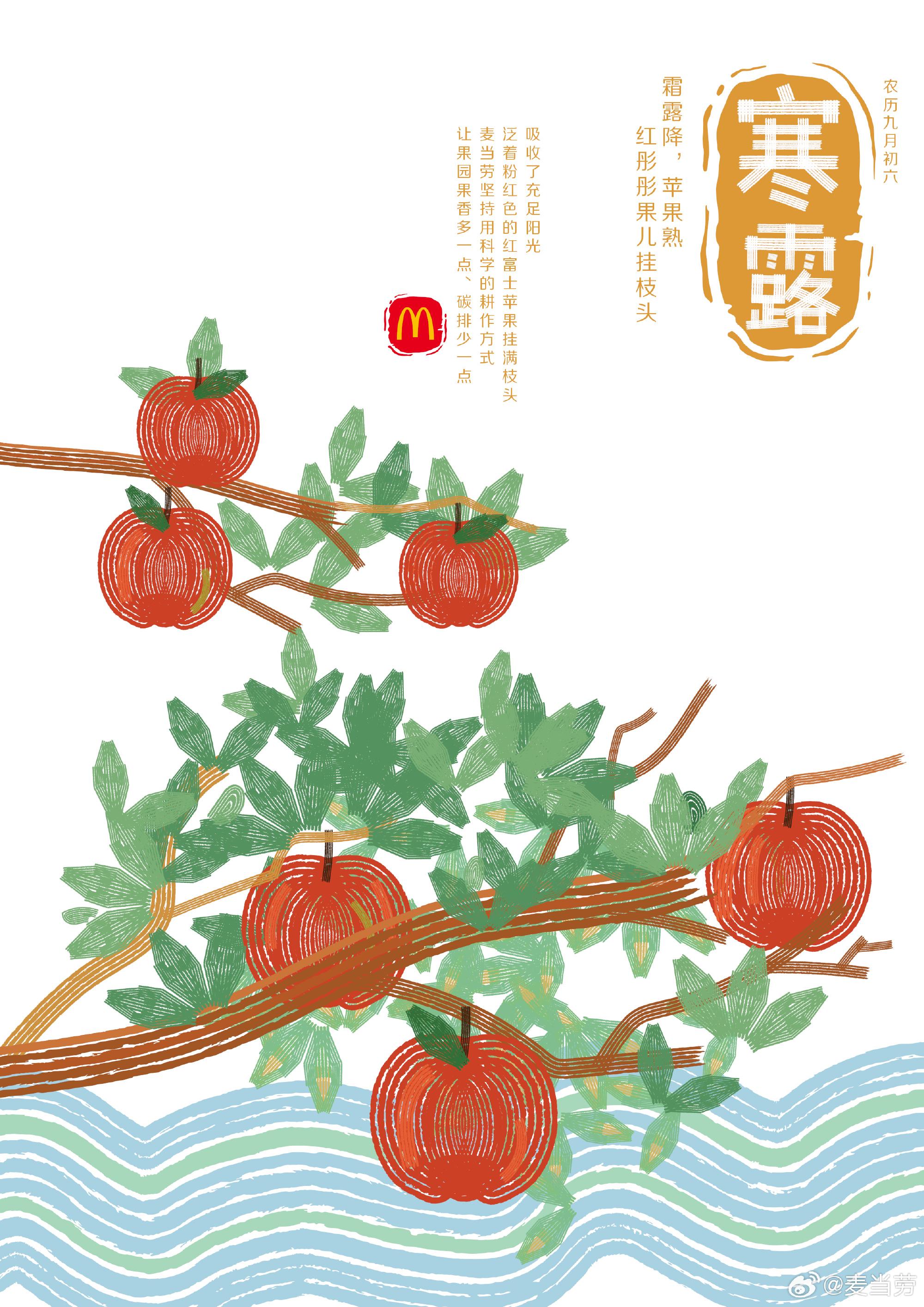 寒露海报合集