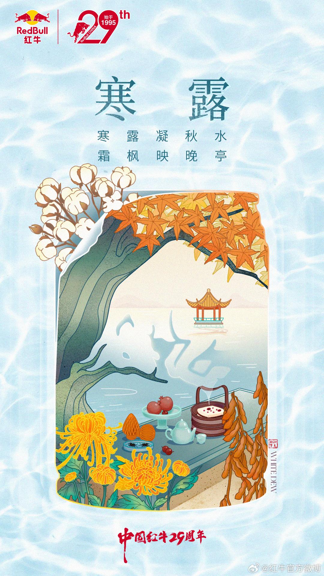 寒露海报合集