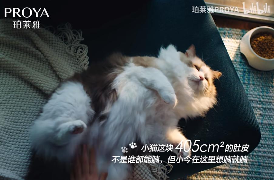 QQ截图20241011160009-800.jpg