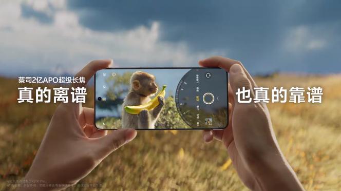 微信图片_202410140948463-800.jpg