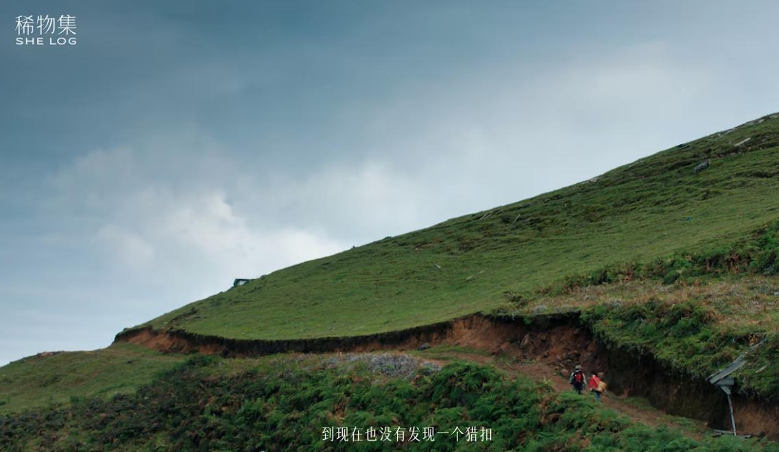 QQ截图20241017151314-800.jpg