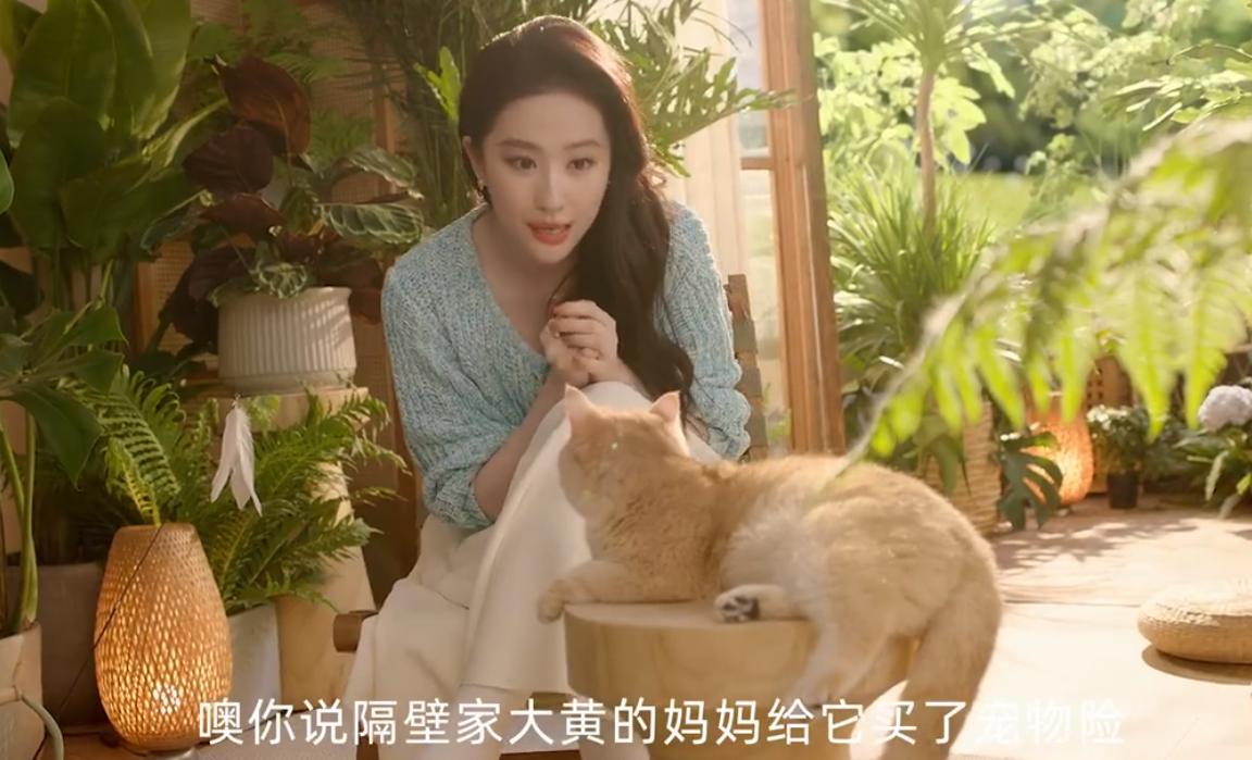 QQ截图20241017174425-800.jpg
