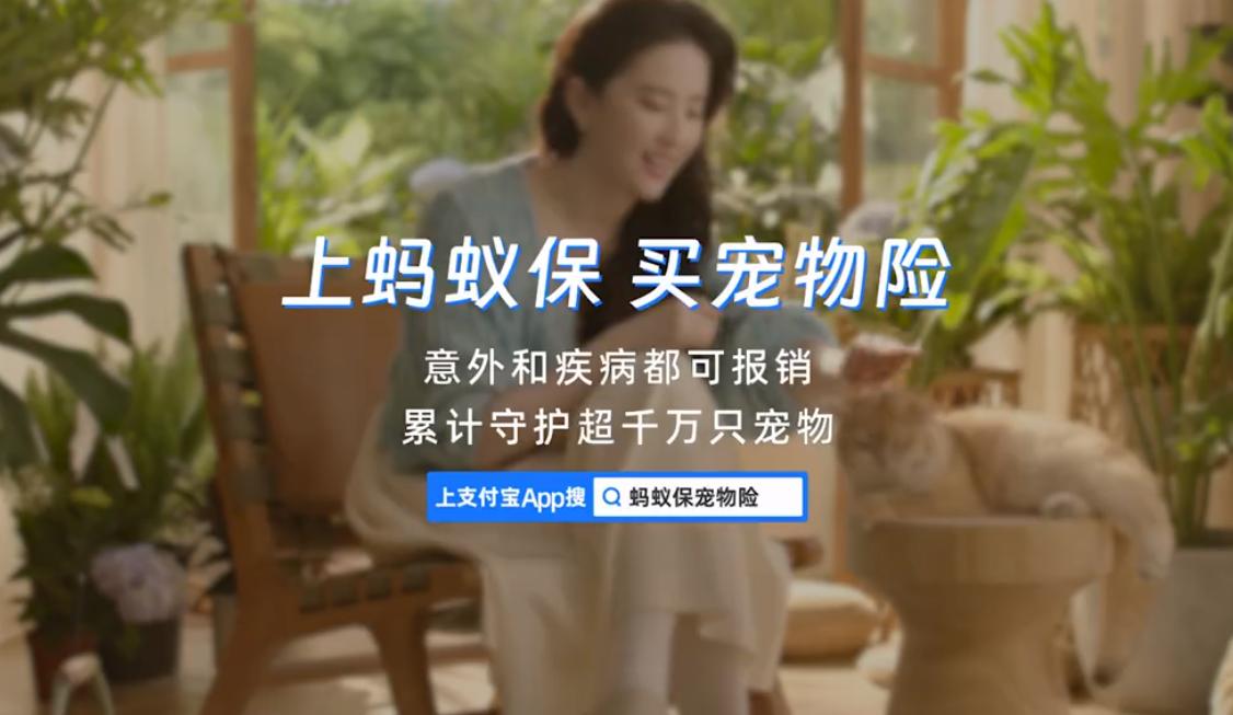 QQ截图20241017174436-800.jpg