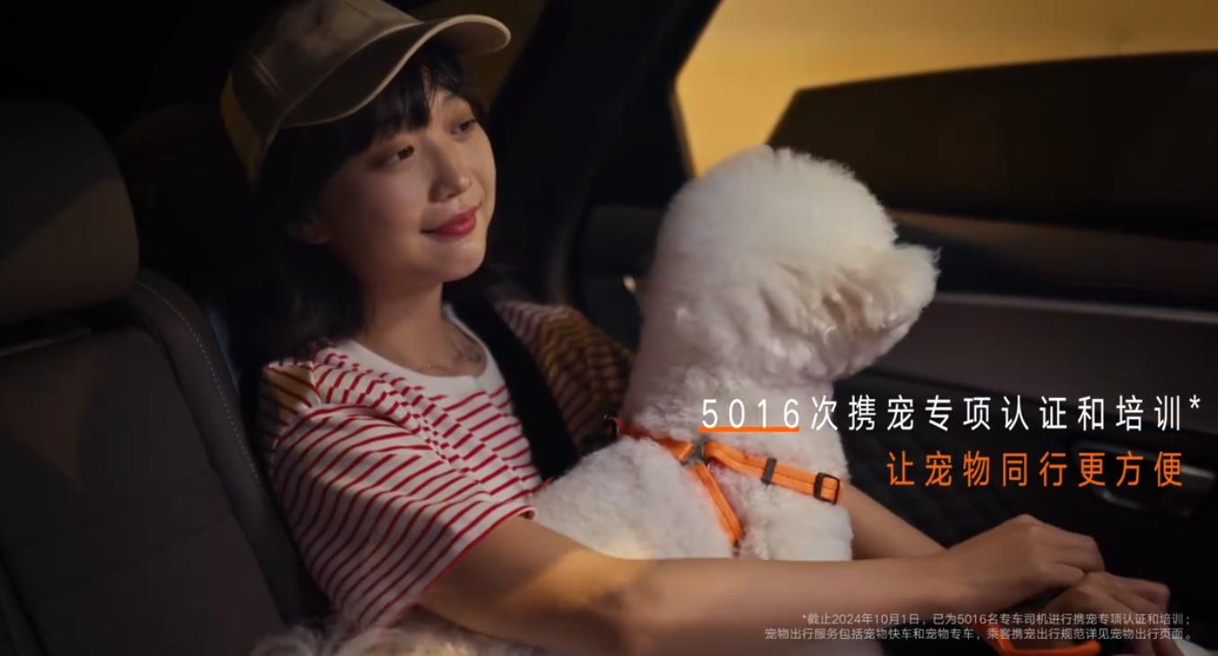 QQ截图20241018161605-800.jpg
