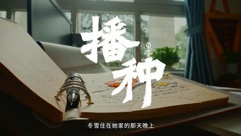 微信图片_202410251404373-800.jpg