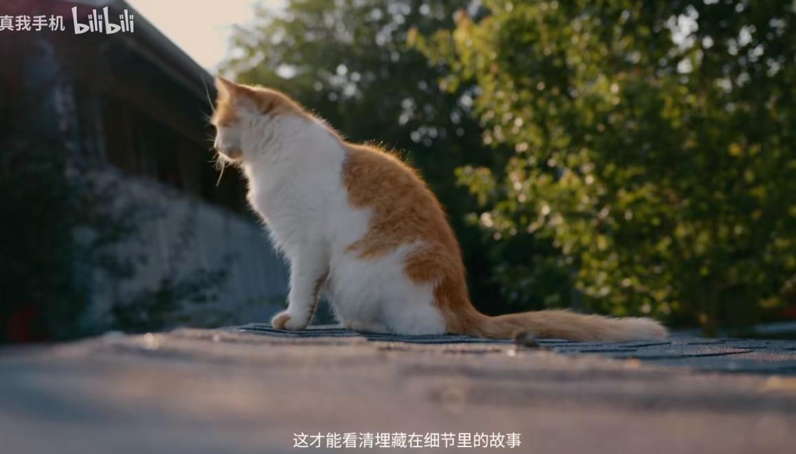 QQ截图20241031150443-800.jpg