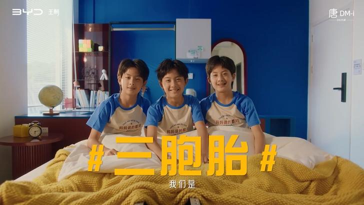 微信图片_202410311509382-800.jpg