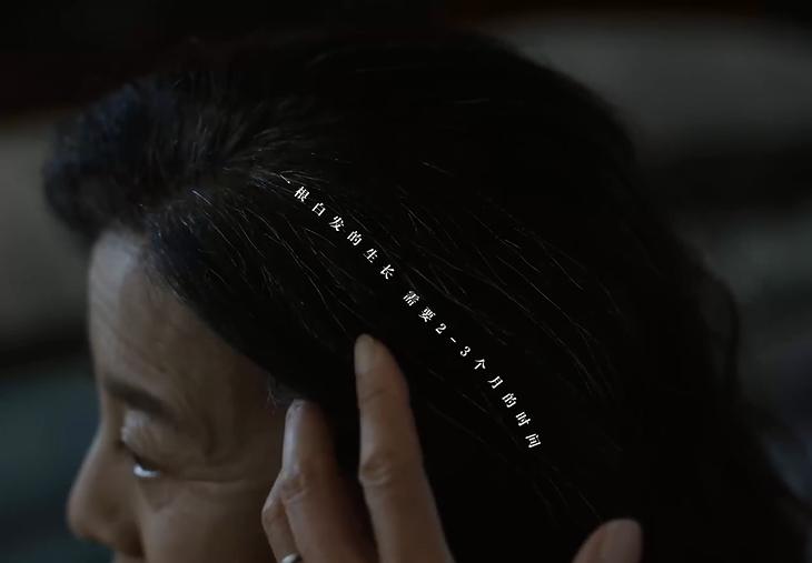 微信图片_20241107093355-800.jpg