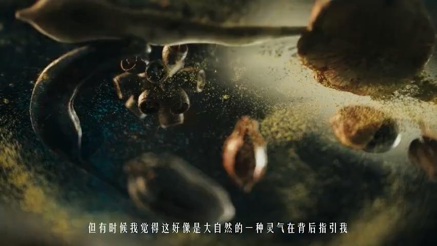 微信图片_202411181910112-800.jpg