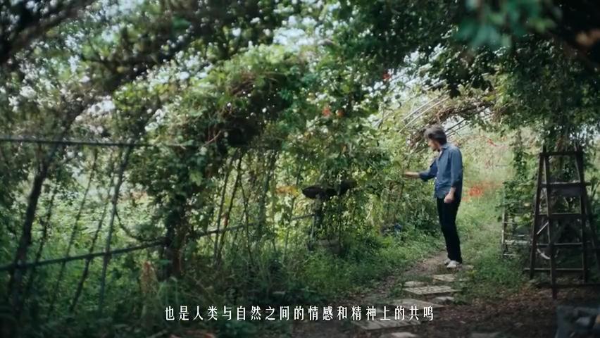 微信图片_202411181910111-800.jpg