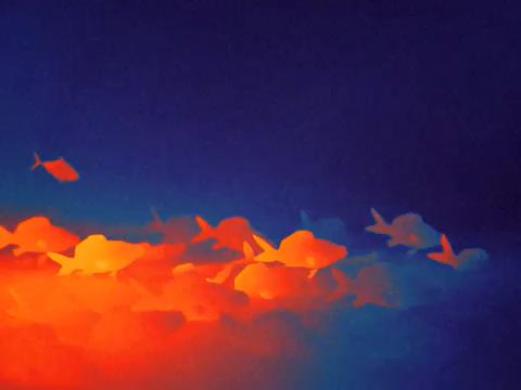 微信图片_202411191840001-800.jpg