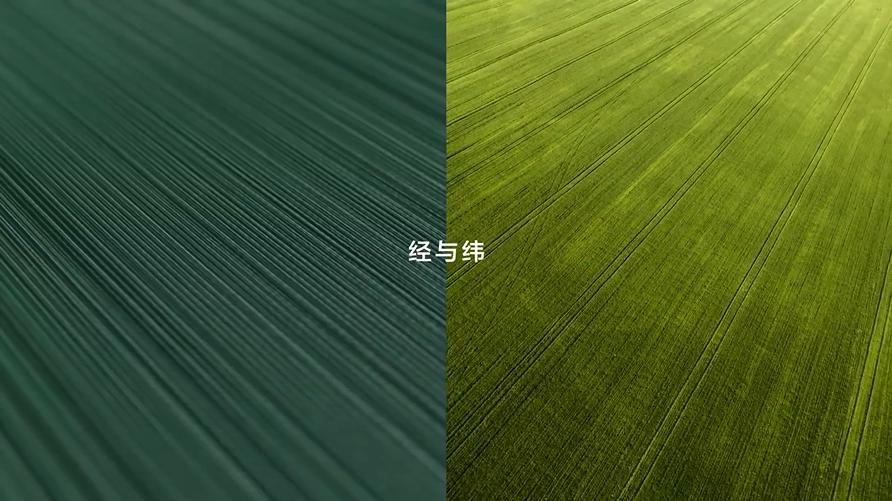 53eda233e26a940ed1b85bed81361f3-800.jpg