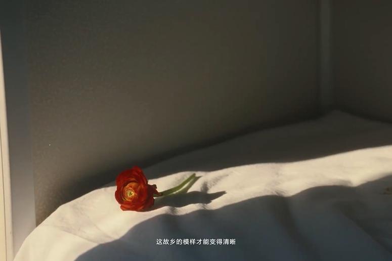 8e16eb52a9d8a57f0fc4f15d8b0e41f-800.jpg
