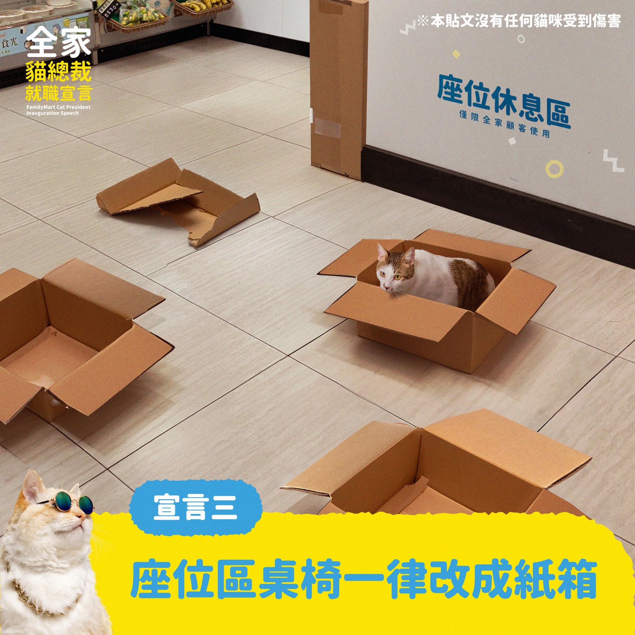 台湾全家:猫总裁上任!热狗不卖了,改卖热猫