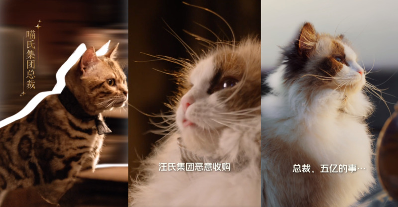 QQ浏览器截图20240429164908-800.jpg