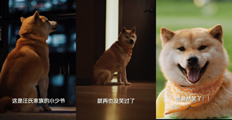 QQ浏览器截图20240429164737-800.jpg