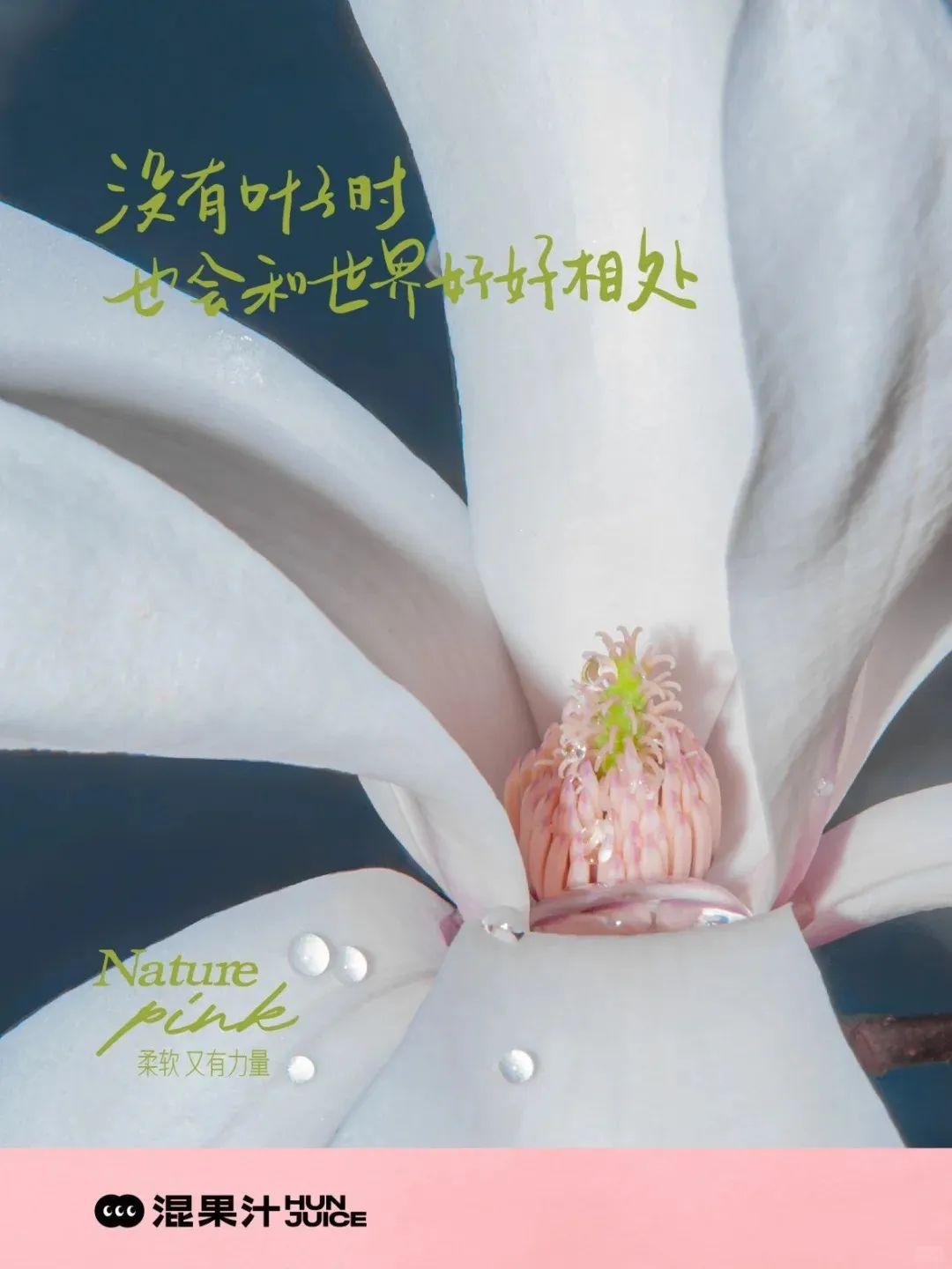 混果汁、海报、三八节