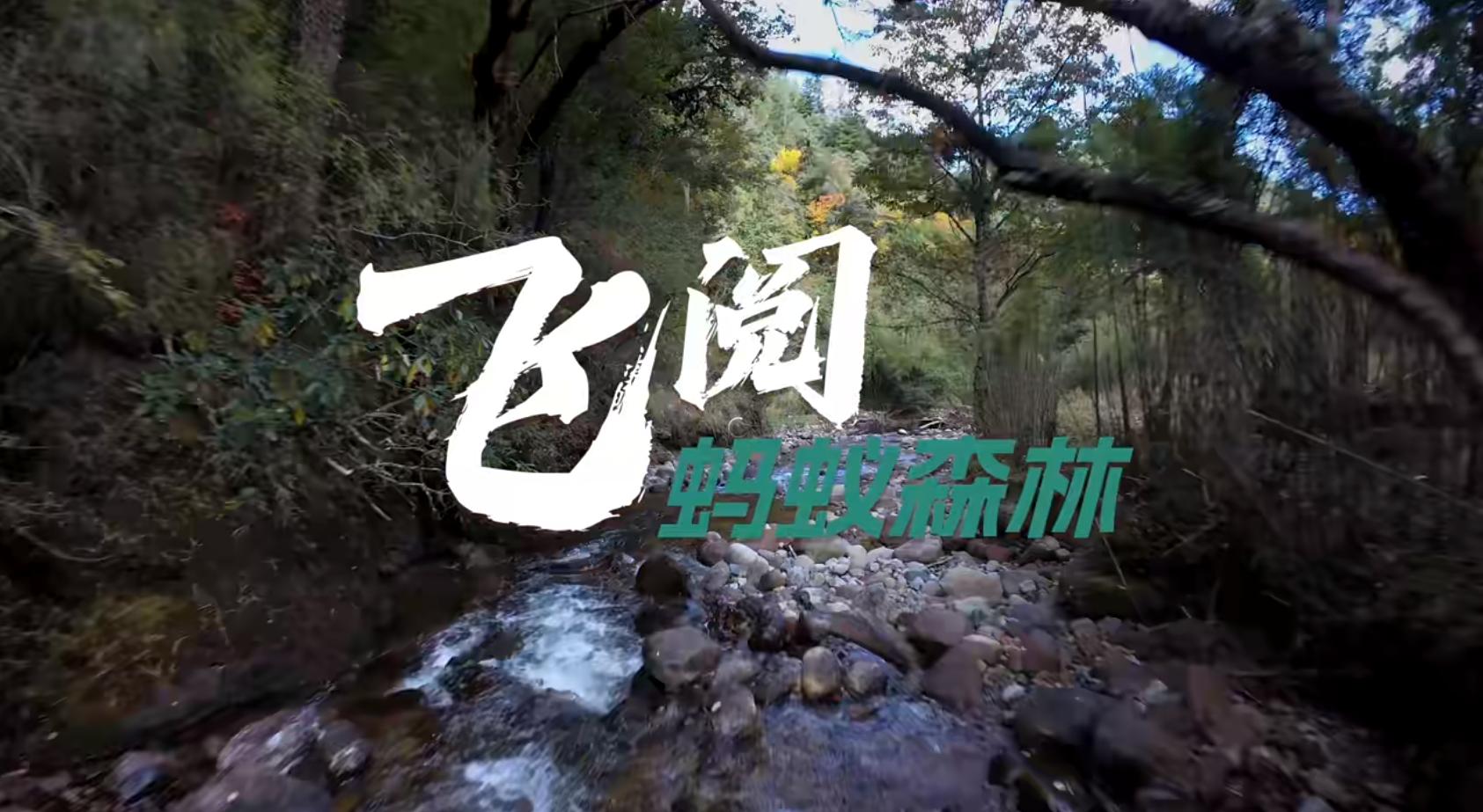微信图片_20250317102018-800.jpg