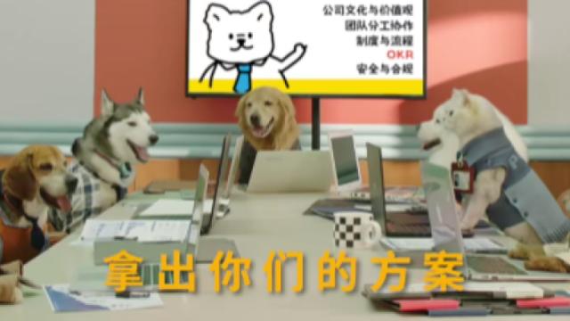 给毛孩子拍职场大片，抖音商城的劳动节营销萌翻天