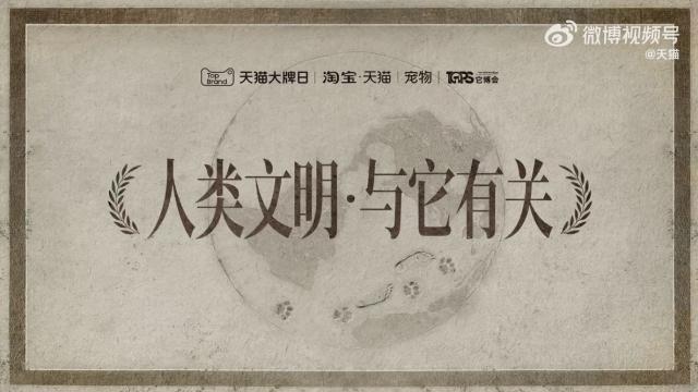 天猫这支宠物短片，营销逼格拉满