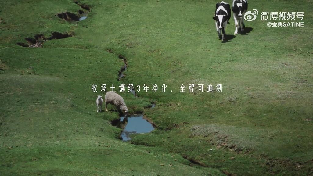 c6cc43a75be213a605a7865b99944c8-800.jpg