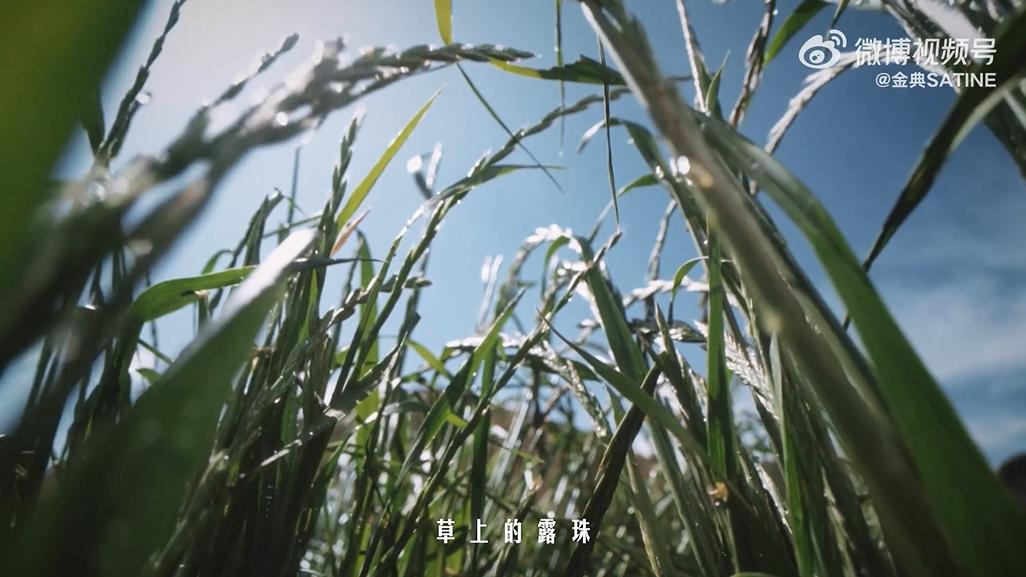 cbc96e5c67b8d90825a64fdd410d36f-800.jpg
