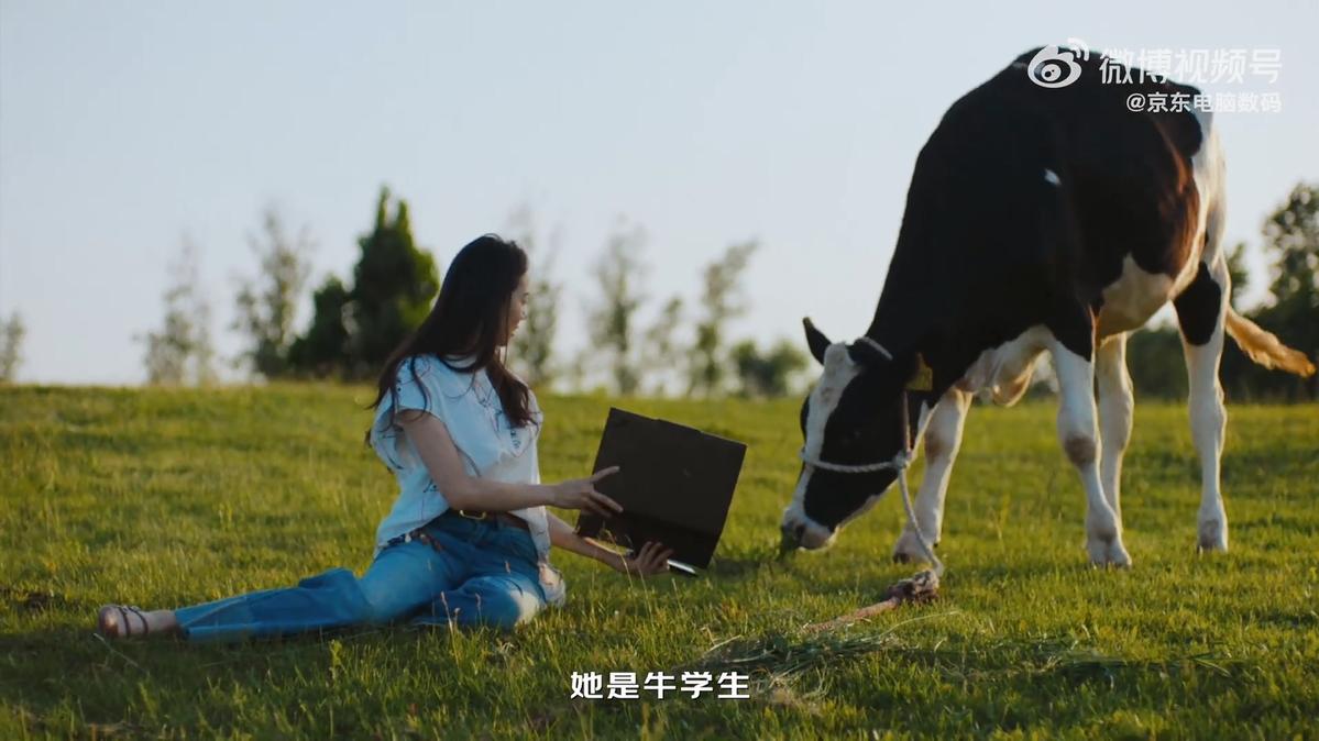 b110b8db8887a57a3af124ae176128b-800.jpg