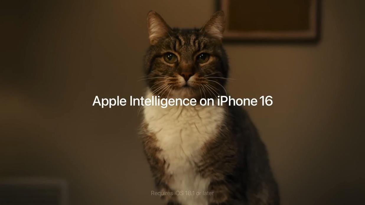 13c04857722dddb73b48e6a041b315f-800.jpg
