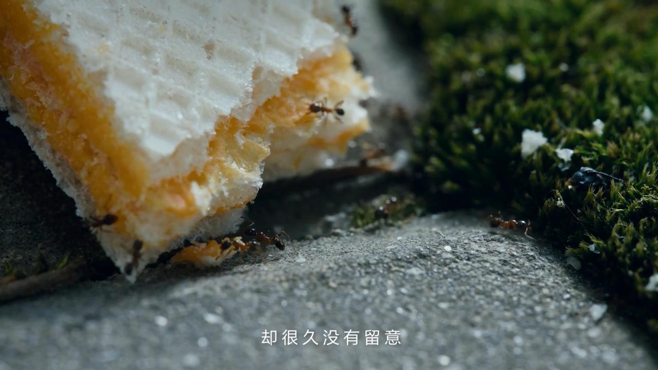 87f1da50c5f2b7228f0e009ef2c60b7-800.jpg