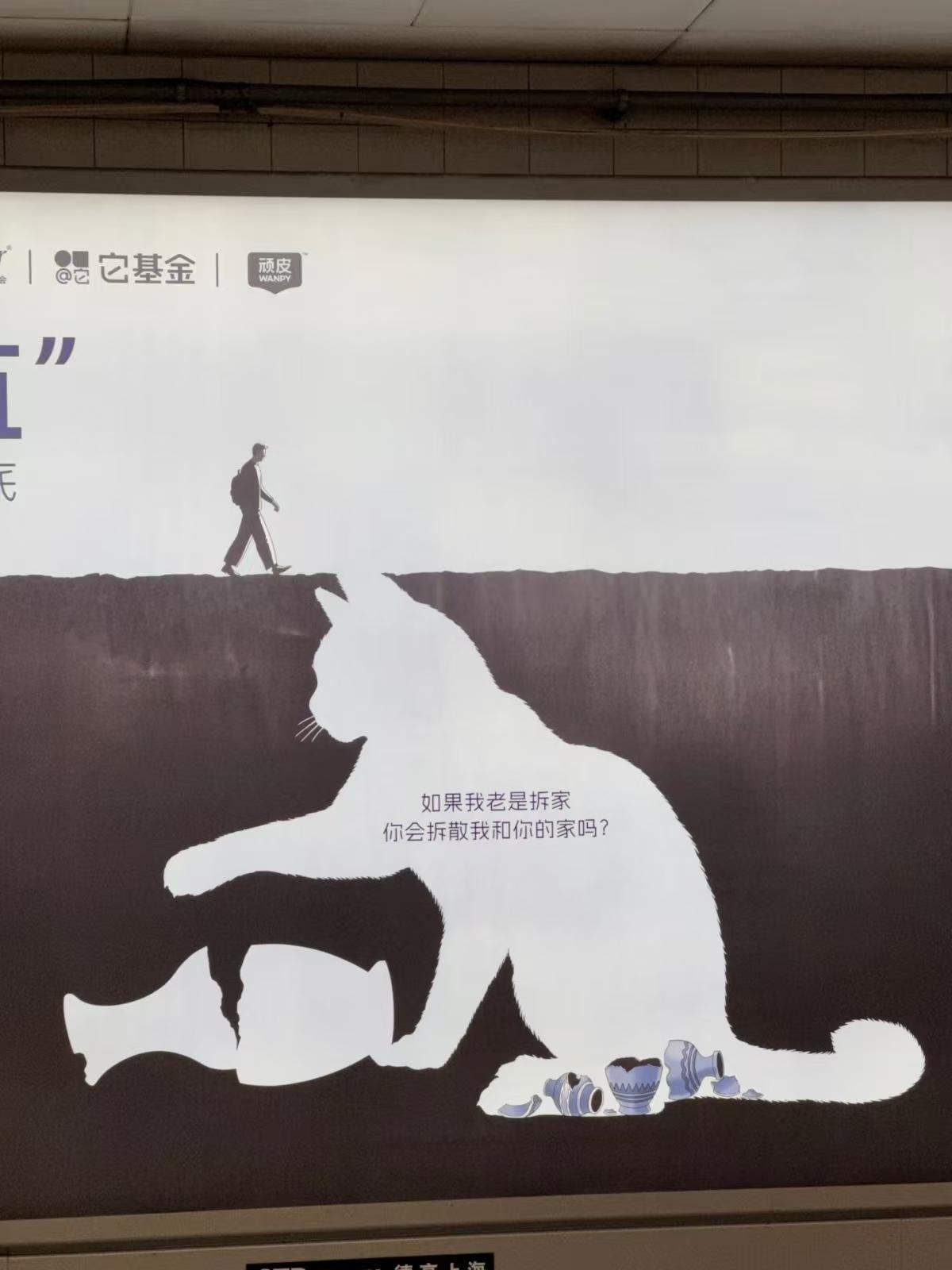 ca6c01695ac607a89f770ecac7b646b3-800.jpg