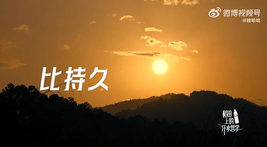 81cdf2af3ea568254318181d02c47032-800.jpg