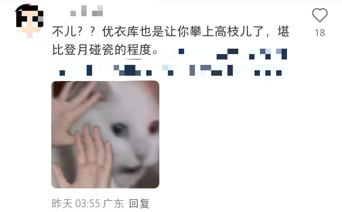 a2d01dde9a068a0a8791c7862feb3bf8-800.jpg