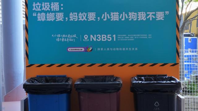 在垃圾桶旁打广告？这可能是今年最有意思的公益创意