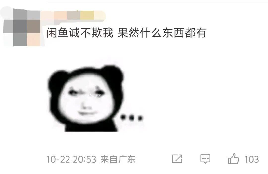 FHbXNjlAi1-800.jpg
