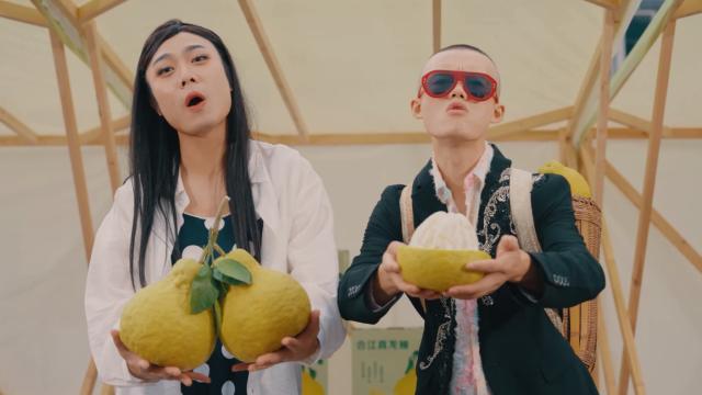 四川文旅抽象爆改《自由飞翔》MV，看完笑疯了