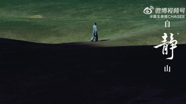 霸王茶姬新品宣传片，每一帧都美到窒息