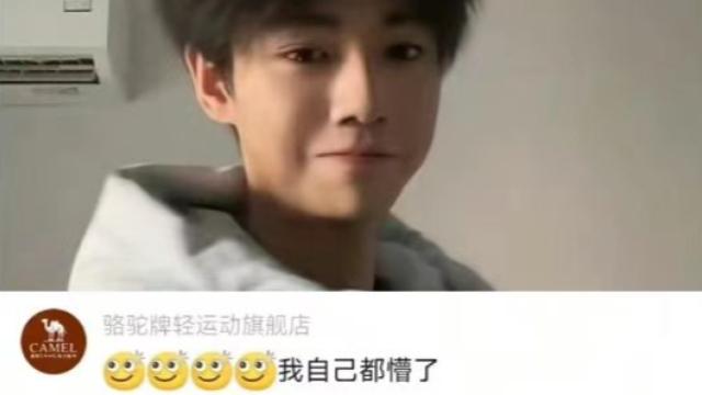 官号竟跟山寨代言人互动？骆驼紧急向王俊凯道歉
